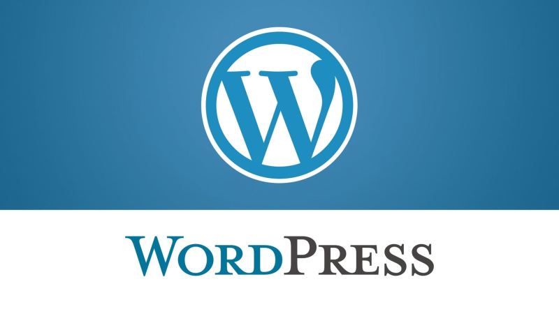 WordPress清理数据库冗余数据,加速网站运行速度-主题美化网