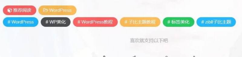 子比文章自定义彩色标签-主题美化网