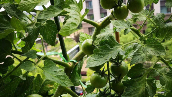 下雨天能否查看家里的风水？-主题美化网