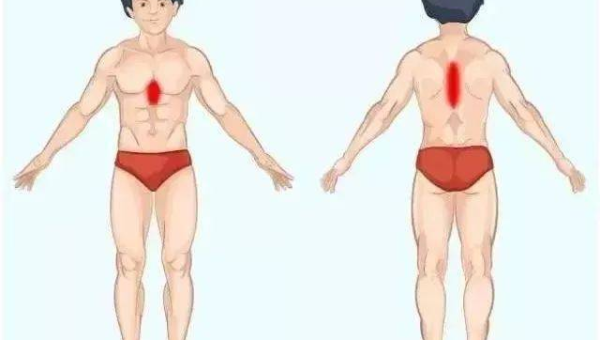 巴西与中国 AI 模型发展对比分析表-主题美化网