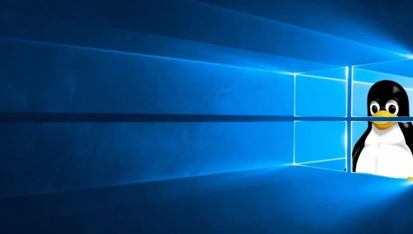 linux和windows软件一样吗-主题美化网