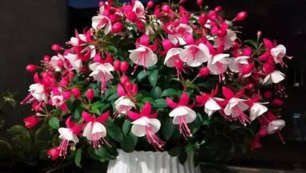 卧室窗户挂风铃风水好吗-主题美化网