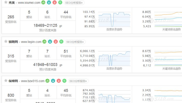 服务器选择与网站 SEO：匹配最佳性能-主题美化网