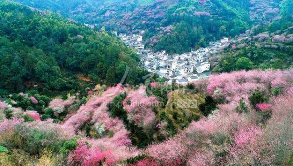 处女座如何处理生活中的细节问题？-主题美化网