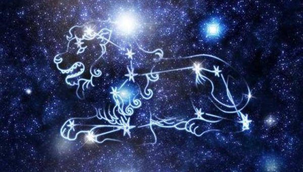 狮子座在职场中如何展现领导力？-主题美化网