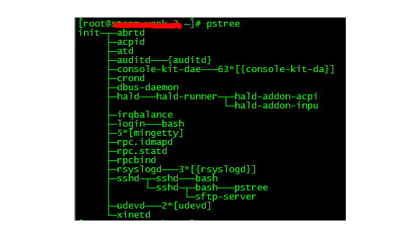 Linux 中通过 PID 查找进程的命令详解