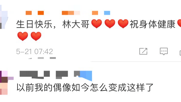 卧室摆放大叶植物风水好吗-主题美化网