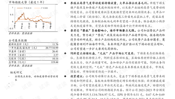 网站优化全方位：文章、标题、域名齐发力