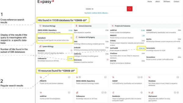 服务器选择攻略详细解读：匹配网站 SEO 需求-主题美化网