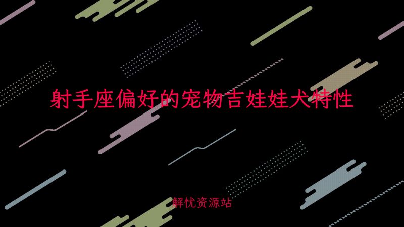 射手座偏好的宠物吉娃娃犬特性-主题美化网